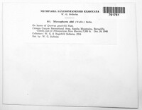 Image Associated With the Occurence